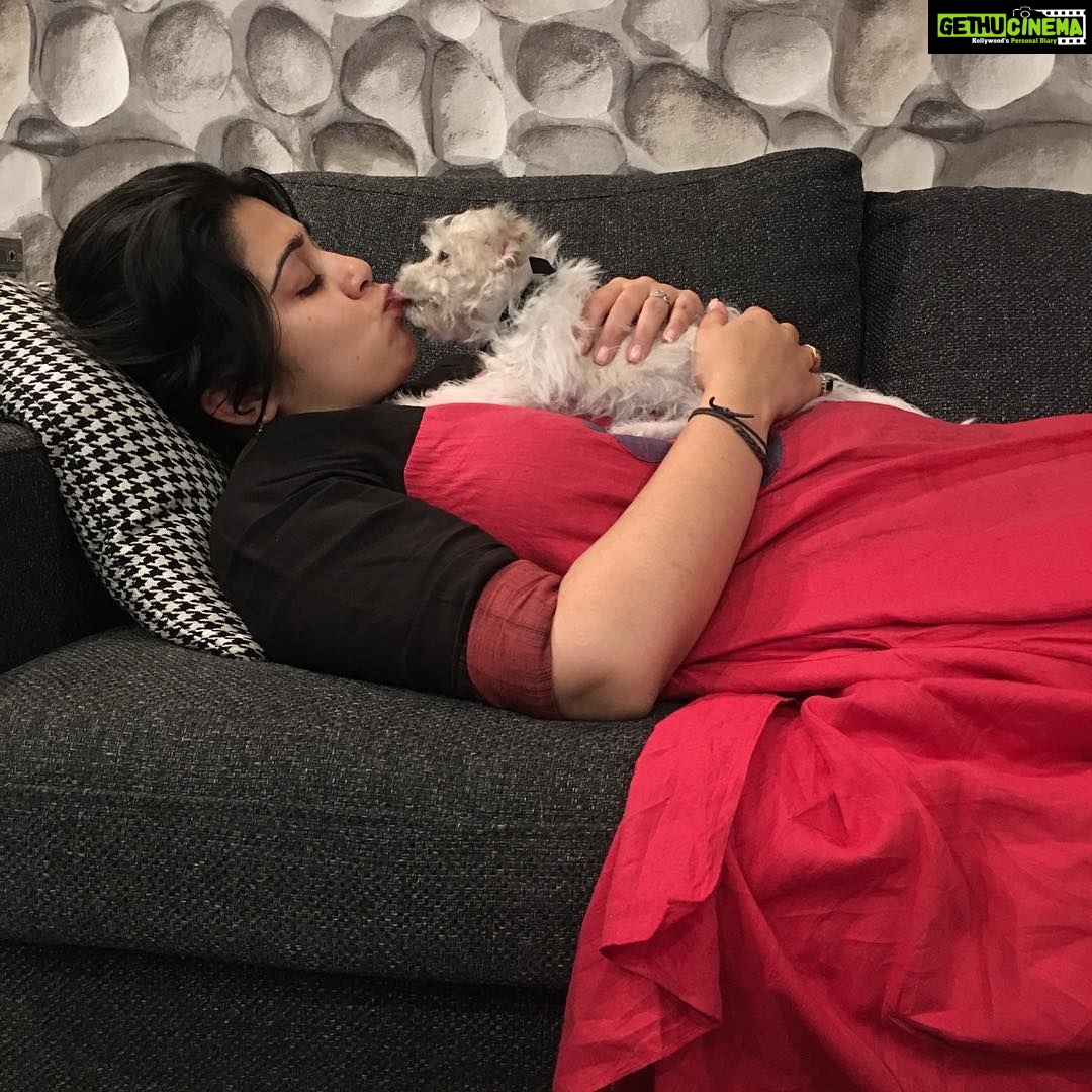 Charmy Kaur Instagram - #kisses n #love 🥰 #mybaby #item #petsofinstagram Hyderabad