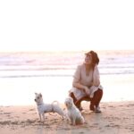 Charmy Kaur Instagram - Beaches with my babies 😂 #pets in goa .. #shooting #ismartshankar #romantic #PCfilm @purijagannadh @puriconnects