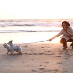 Charmy Kaur Instagram - When they bark at BIG DOGS 🤦🏼‍♀️😂 #pets in goa .. #shooting #ismartshankar #romantic #PCfilm @purijagannadh @puriconnects