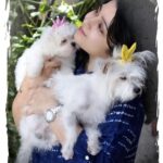 Charmy Kaur Instagram - #babies Sexy Item 😘😘 #petsofinstagram
