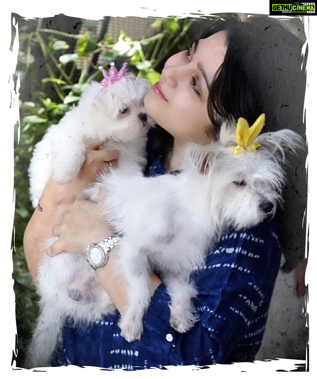 Charmy Kaur Instagram - #babies Sexy Item 😘😘 #petsofinstagram