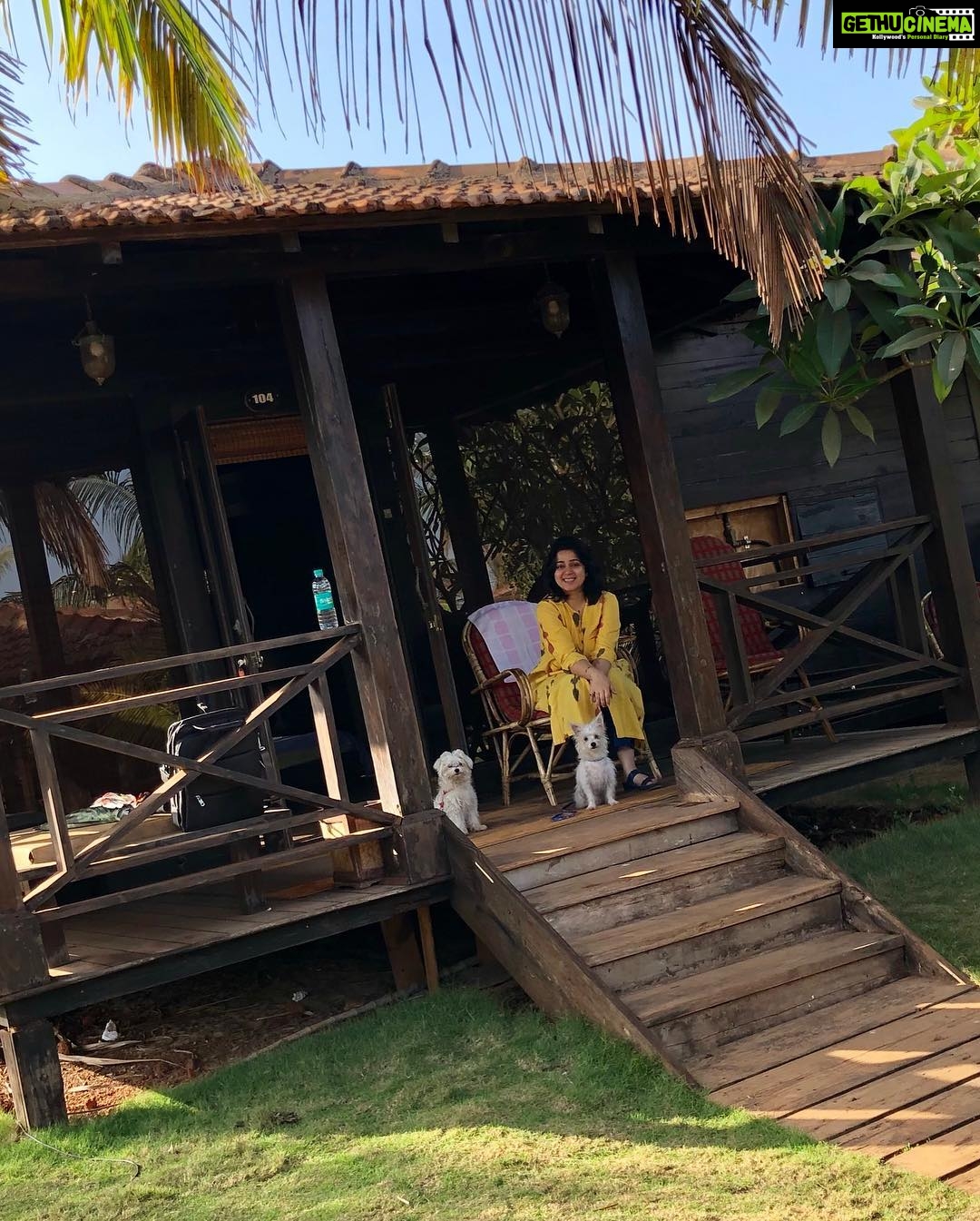 Charmy Kaur Instagram - Happiness is when ur babies come all the way to goa to spend time with u on sets 😍 #petsofinstagram #ismartshankar #romantic Morjim Beach