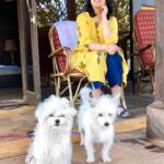 Charmy Kaur Instagram - Happiness is when ur babies come all the way to goa to spend time with u on sets 😍 #petsofinstagram #ismartshankar #romantic Morjim Beach