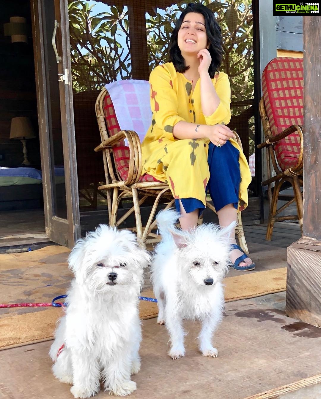 Charmy Kaur Instagram - Happiness is when ur babies come all the way to goa to spend time with u on sets 😍 #petsofinstagram #ismartshankar #romantic Morjim Beach