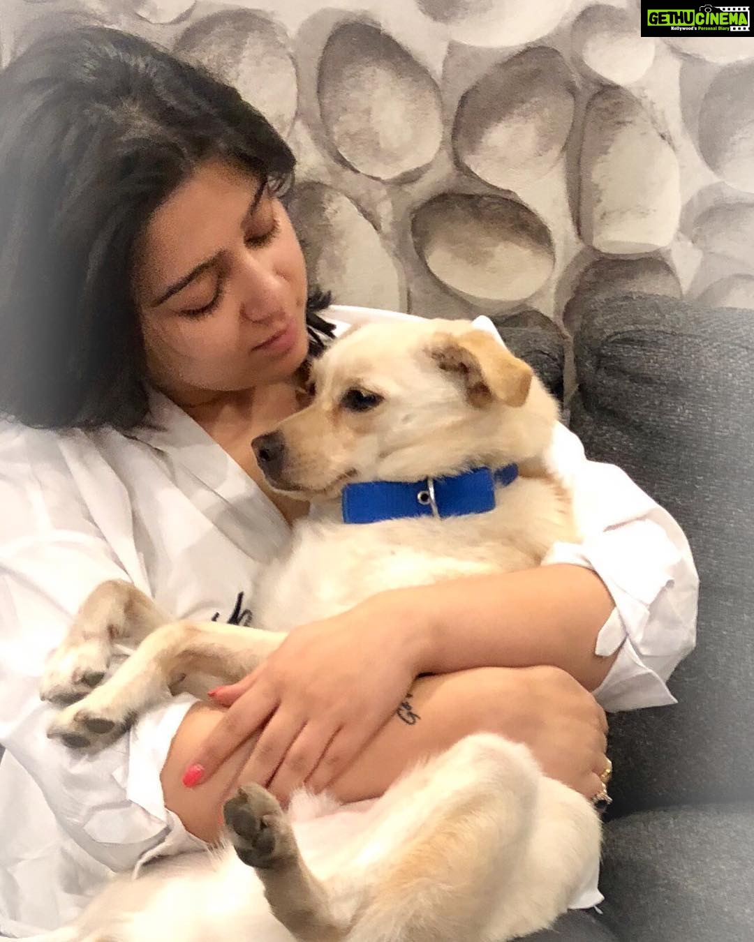 Charmy Kaur Instagram - My #darling #forever 😍💖 #petsofinstagram Hyderabad