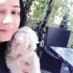 Charmy Kaur Instagram - Ignore mode 😭 but y 🤷🏼‍♀️ #sexy #petsofinstagram #puppies #moodswings