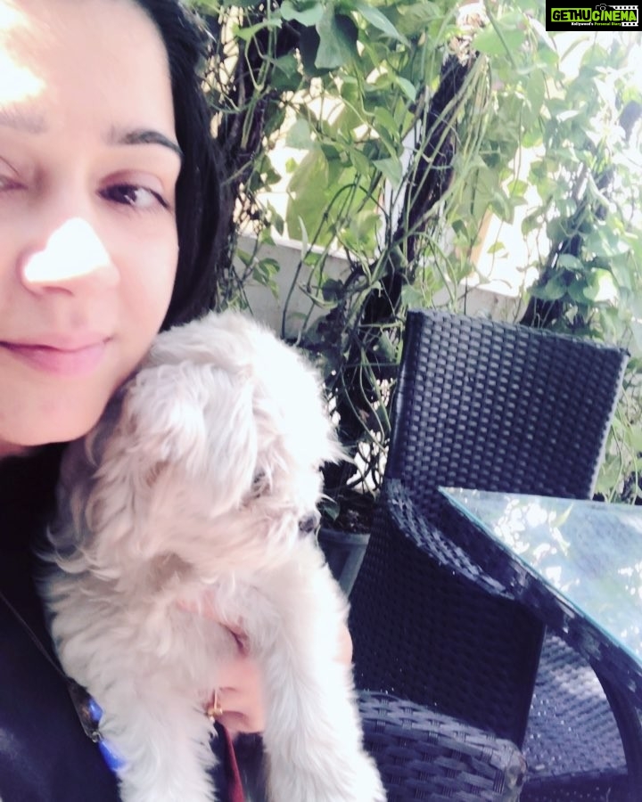 Charmy Kaur Instagram - Ignore mode 😭 but y 🤷🏼♀️ #sexy #petsofinstagram #puppies #moodswings