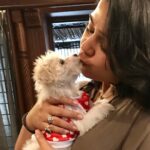 Charmy Kaur Instagram - Gemme kichhi 😘 #petsofinstagram #puppy #love #kiss