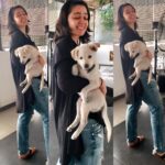 Charmy Kaur Instagram - #happybirthday baby boy #darling .. it’s been 2 years already .. u r n u will b our fav darling puppy always 😘😘😘 #puppy #petsofinstagram #PC @puriconnects @purijagannadh