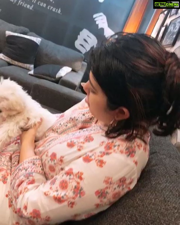 Charmy Kaur Instagram - My chubby #babygirl 😘😘😘 growing toooo fast already #Sexy #petsofinstagram #girls #puppylove