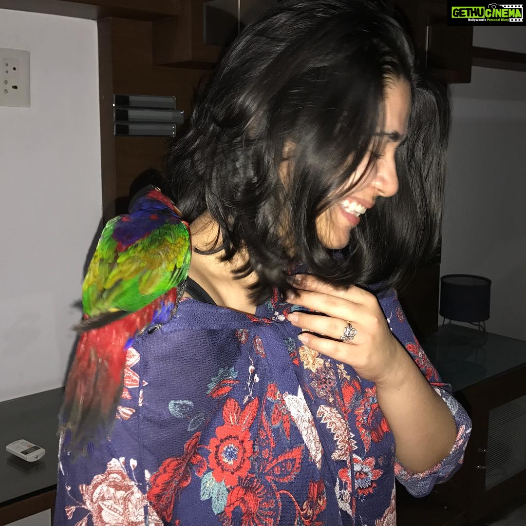 Charmy Kaur Instagram - When u tickle me 😜 #petsofinstagram #mithu #love #birds #pc @puriconnects @purijagannadh