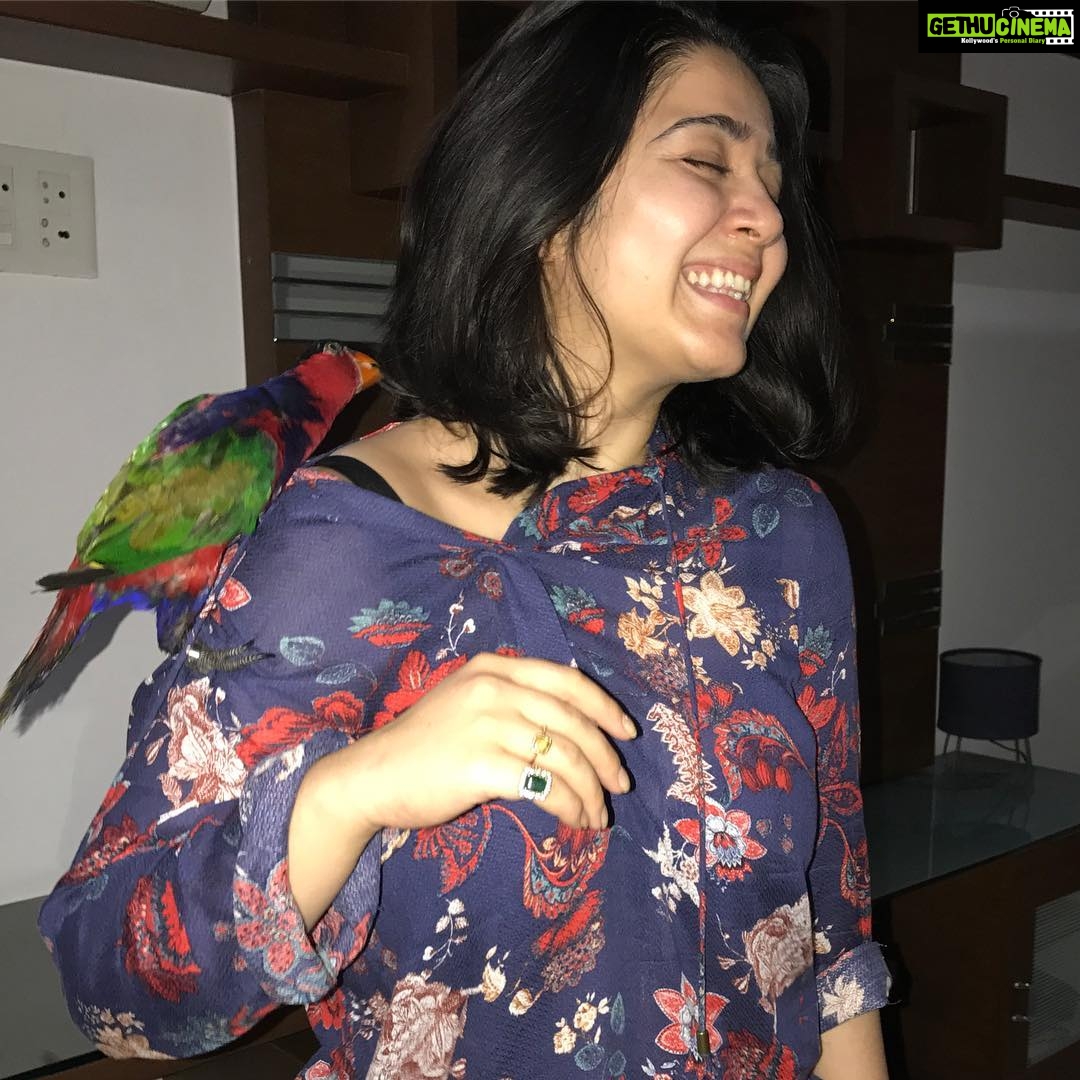 Charmy Kaur Instagram - When u tickle me 😜 #petsofinstagram #mithu #love #birds #pc @puriconnects @purijagannadh