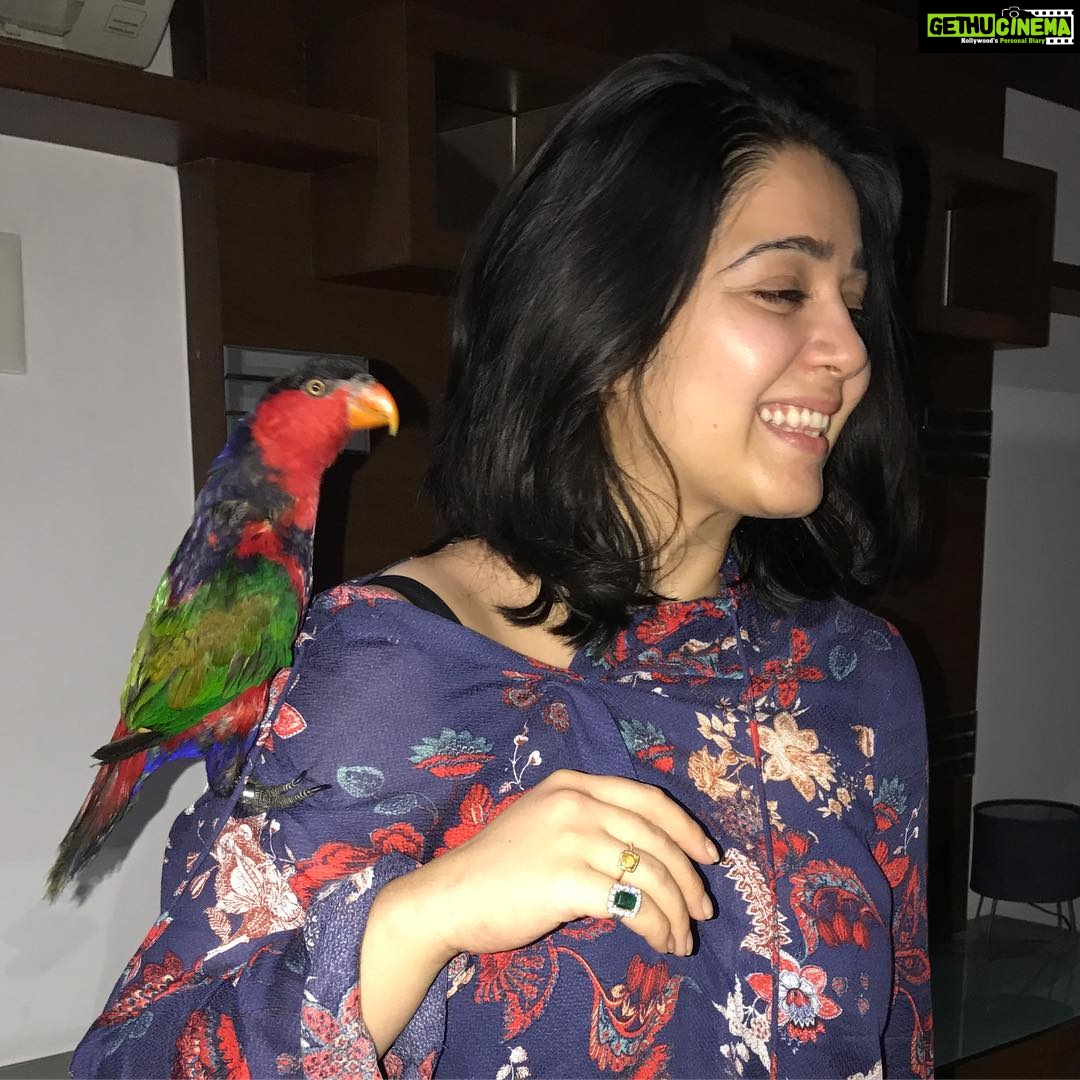 Charmy Kaur Instagram - When u tickle me 😜 #petsofinstagram #mithu #love #birds #pc @puriconnects @purijagannadh