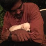 Charmy Kaur Instagram - #happybirthday baby boy #darling .. it’s been 2 years already .. u r n u will b our fav darling puppy always 😘😘😘 #puppy #petsofinstagram #PC @puriconnects @purijagannadh