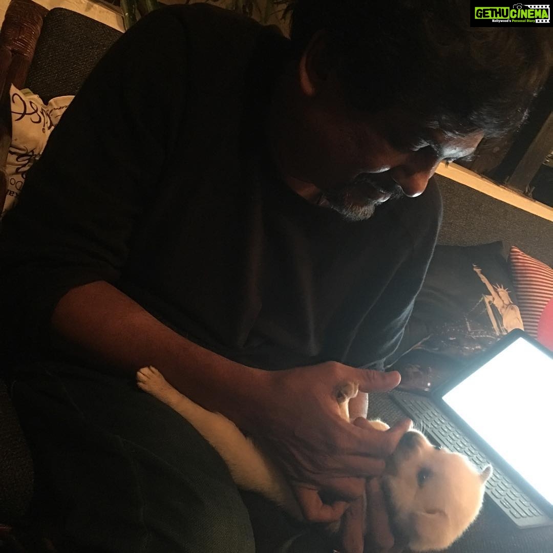 Charmy Kaur Instagram - #happybirthday baby boy #darling .. itβs been 2 years already .. u r n u will b our fav darling puppy always πππ #puppy #petsofinstagram #PC @puriconnects @purijagannadh