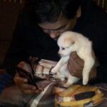 Charmy Kaur Instagram - #happybirthday baby boy #darling .. it’s been 2 years already .. u r n u will b our fav darling puppy always 😘😘😘 #puppy #petsofinstagram #PC @puriconnects @purijagannadh