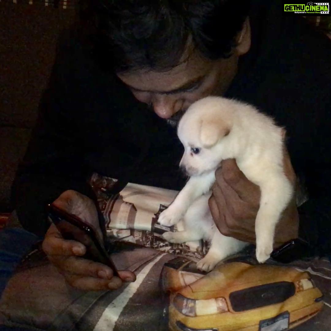 Charmy Kaur Instagram - #happybirthday baby boy #darling .. itβs been 2 years already .. u r n u will b our fav darling puppy always πππ #puppy #petsofinstagram #PC @puriconnects @purijagannadh