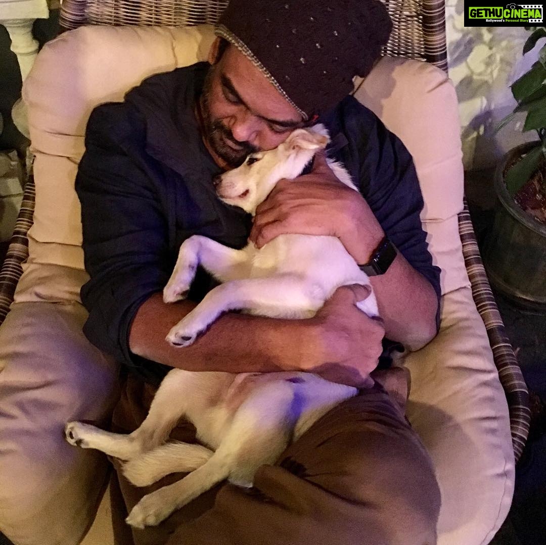 Charmy Kaur Instagram - #happybirthday baby boy #darling .. itβs been 2 years already .. u r n u will b our fav darling puppy always πππ #puppy #petsofinstagram #PC @puriconnects @purijagannadh