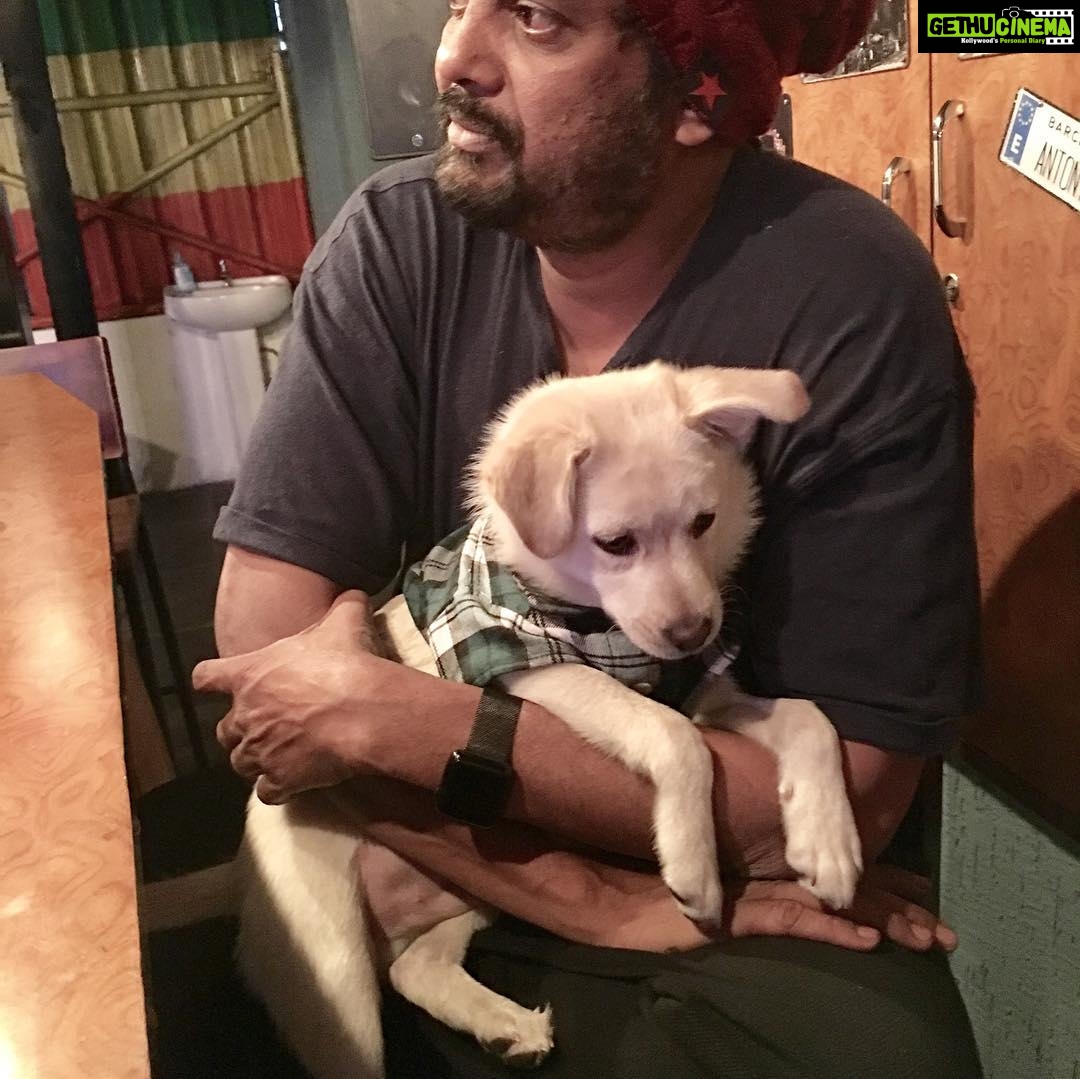 Charmy Kaur Instagram - #happybirthday baby boy #darling .. itβs been 2 years already .. u r n u will b our fav darling puppy always πππ #puppy #petsofinstagram #PC @puriconnects @purijagannadh