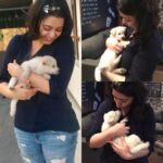 Charmy Kaur Instagram - #happybirthday baby boy #darling .. it’s been 2 years already .. u r n u will b our fav darling puppy always 😘😘😘 #puppy #petsofinstagram #PC @puriconnects @purijagannadh
