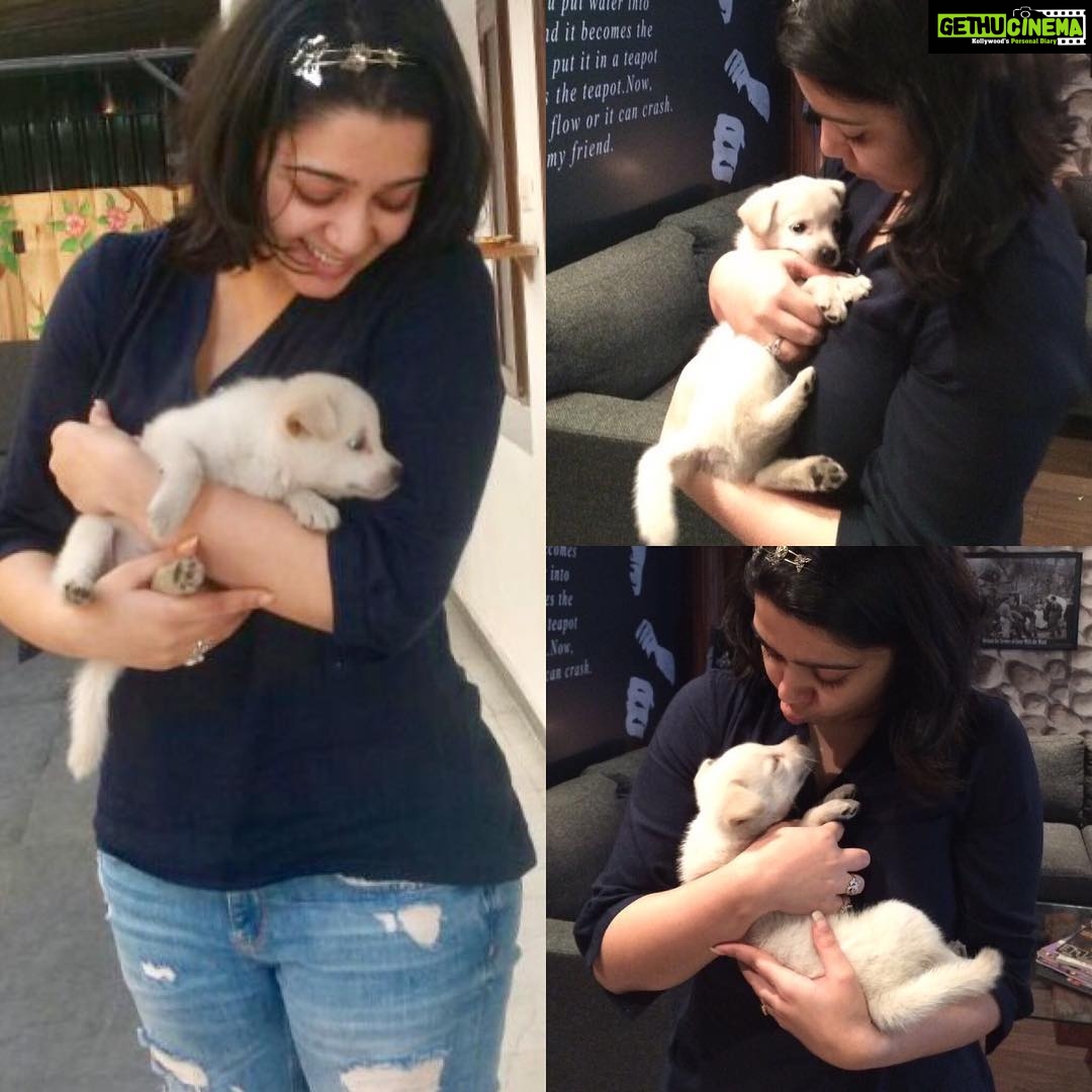 Charmy Kaur Instagram - #happybirthday baby boy #darling .. itβs been 2 years already .. u r n u will b our fav darling puppy always πππ #puppy #petsofinstagram #PC @puriconnects @purijagannadh