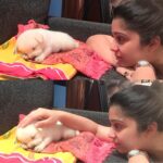 Charmy Kaur Instagram - #happybirthday baby boy #darling .. it’s been 2 years already .. u r n u will b our fav darling puppy always 😘😘😘 #puppy #petsofinstagram #PC @puriconnects @purijagannadh