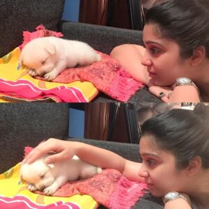 Charmy Kaur Instagram - #happybirthday baby boy #darling .. it’s been 2 years already .. u r n u will b our fav darling puppy always 😘😘😘 #puppy #petsofinstagram #PC @puriconnects @purijagannadh