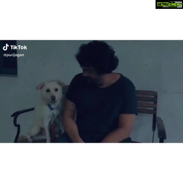 Charmy Kaur Instagram - #cute #darling #pets @purijagannadh @indiatiktok @tiktok 😍👌🏻 @puriconnects #PC #petsofinstagram
