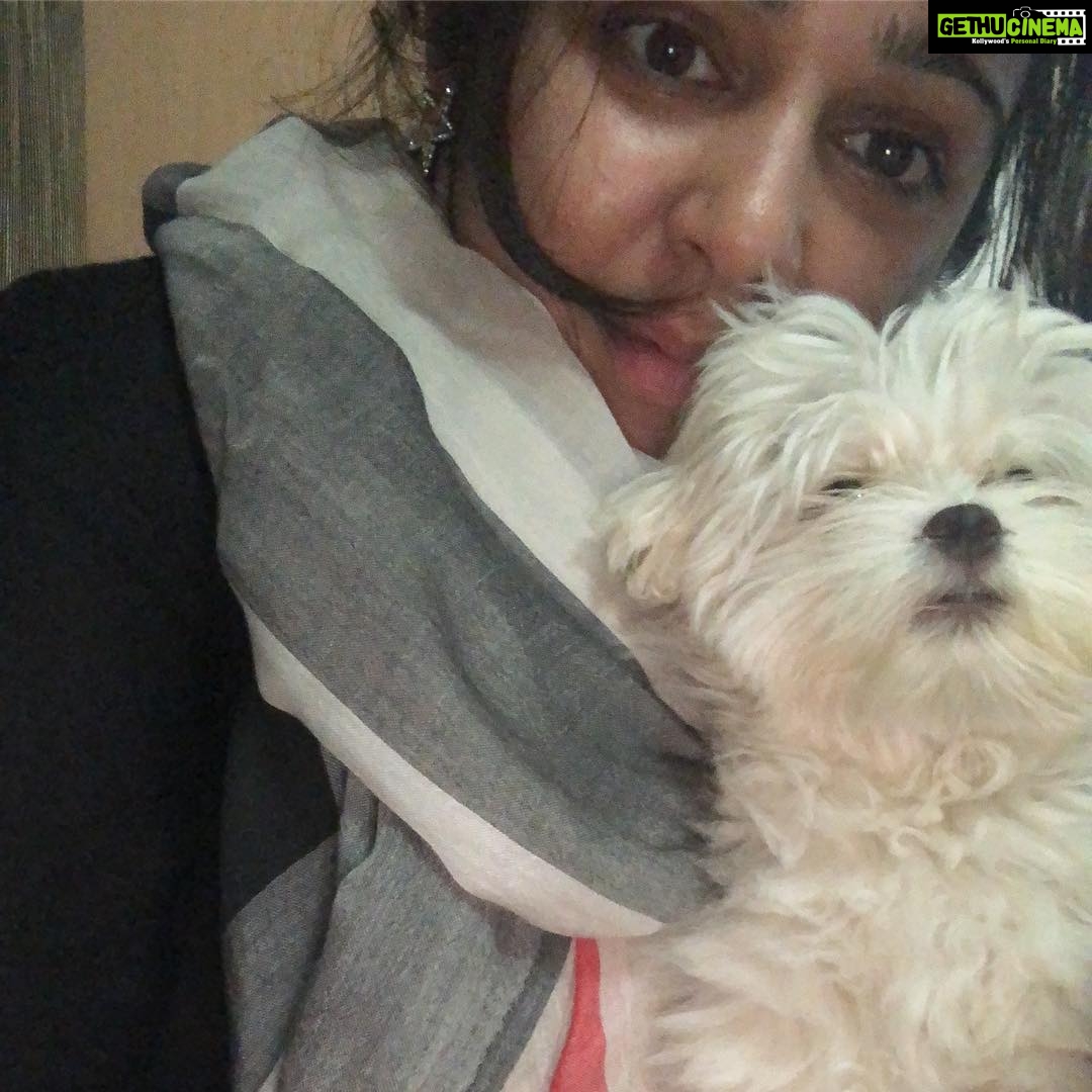 Charmy Kaur Instagram - #mybaby #sexy #petsofinstagram #love 😍