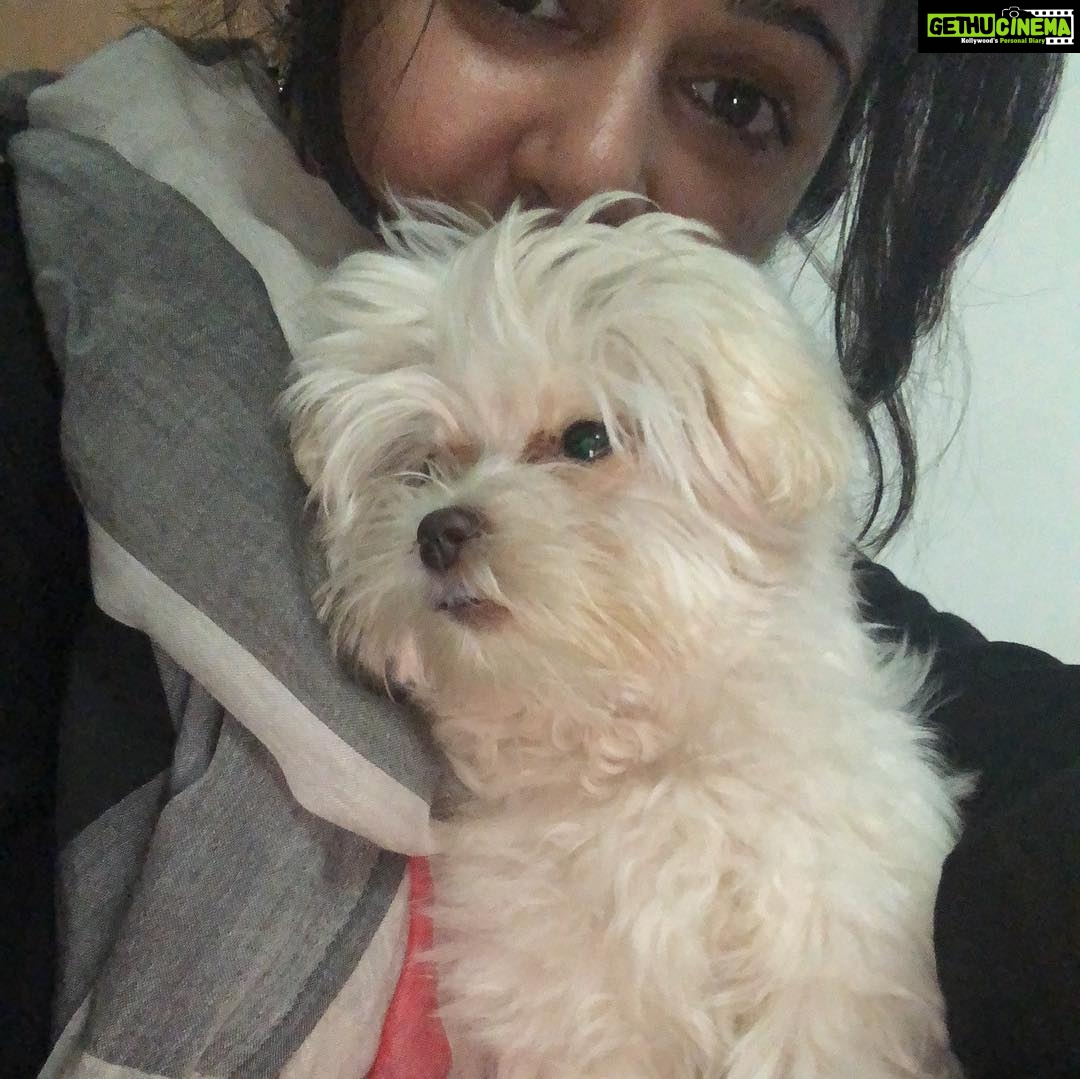 Charmy Kaur Instagram - #mybaby #sexy #petsofinstagram #love 😍