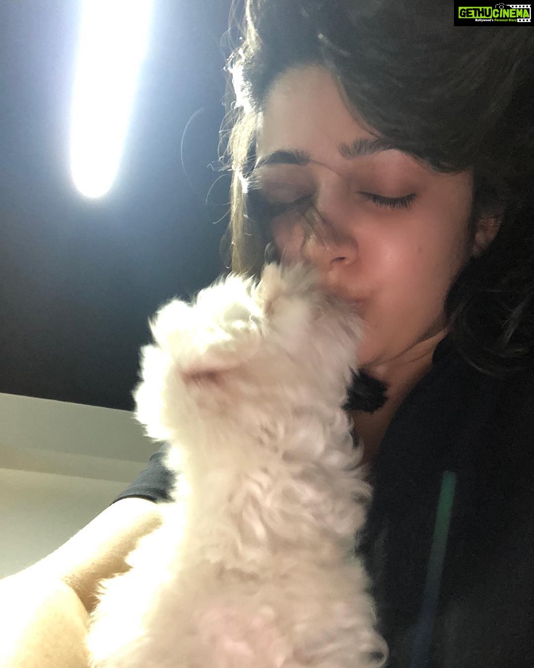 Charmy Kaur Instagram - The best kiss ever 😘 #sexy #mybabygirl #teacupmaltese
