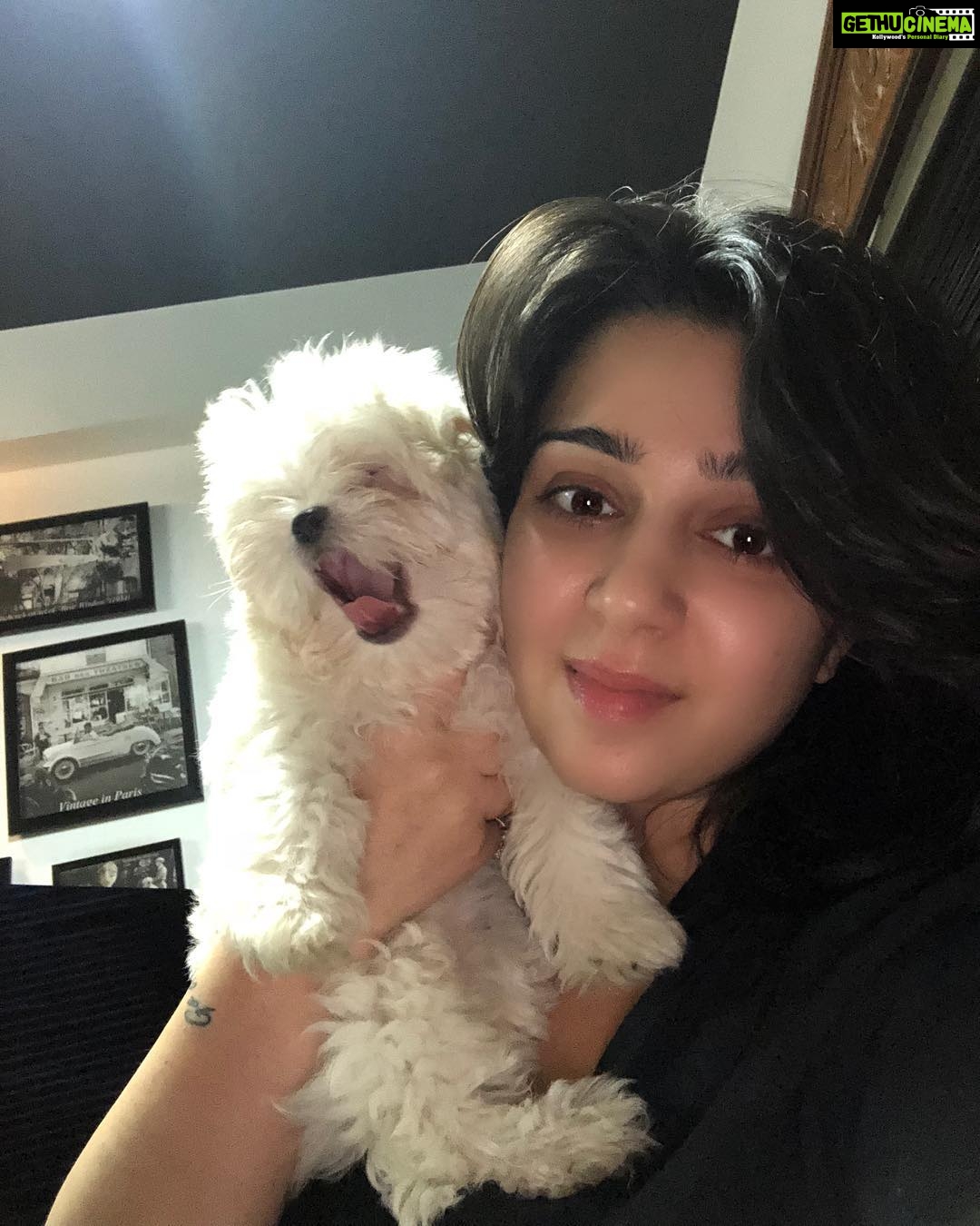 Charmy Kaur Instagram - The best kiss ever 😘 #sexy #mybabygirl #teacupmaltese