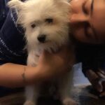 Charmy Kaur Instagram - The best thing in my life #mybaby #ItemBoy 😘😘
