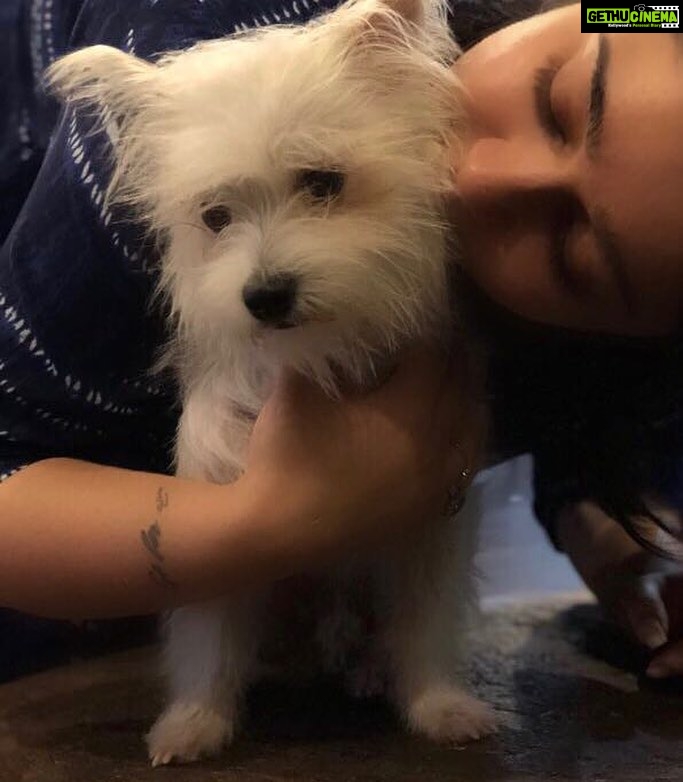 Charmy Kaur Instagram - The best thing in my life #mybaby #ItemBoy 😘😘