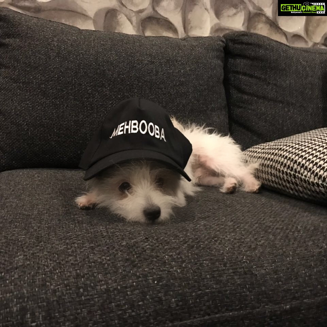 Charmy Kaur Instagram - Item to me “ mommy even I got to wear #Mehbooba caps 😍 “ 😂😂😂