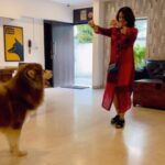 Charmy Kaur Instagram - My obedient cutie 😘😘 #pets #love