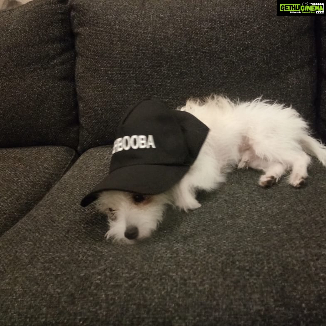 Charmy Kaur Instagram - Item to me “ mommy even I got to wear #Mehbooba caps 😍 “ 😂😂😂