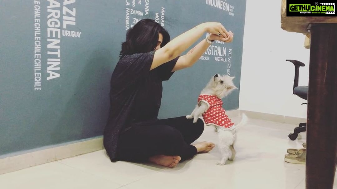 Charmy Kaur Instagram - Surprise treats in life is all that we want 😍 #item #mybaby #PC @puriconnects #workspace 😍 Hyderabad
