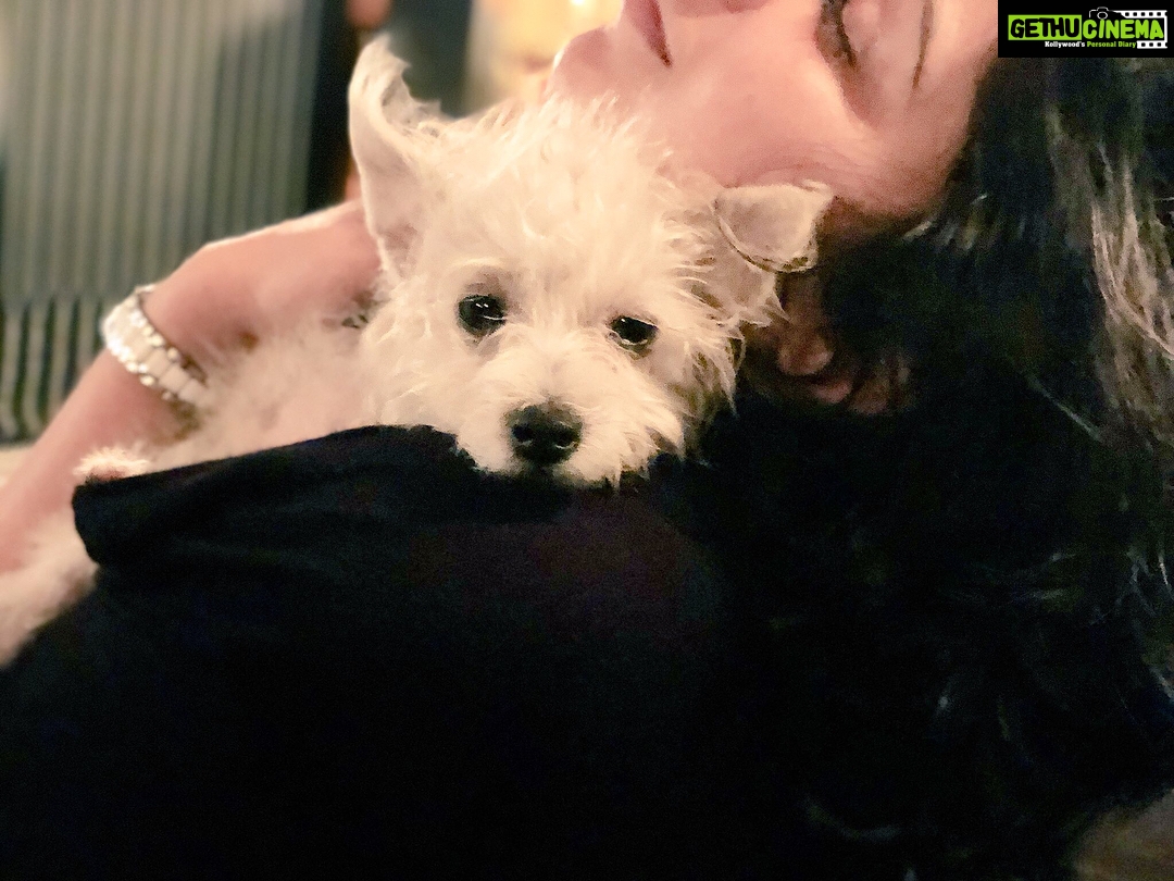 Charmy Kaur Instagram - My baby 😘 #Item 😍 Hyderabad