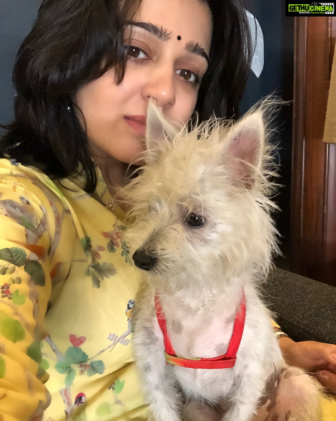 Charmy Kaur Instagram - My stress buster #Item 😘❤️