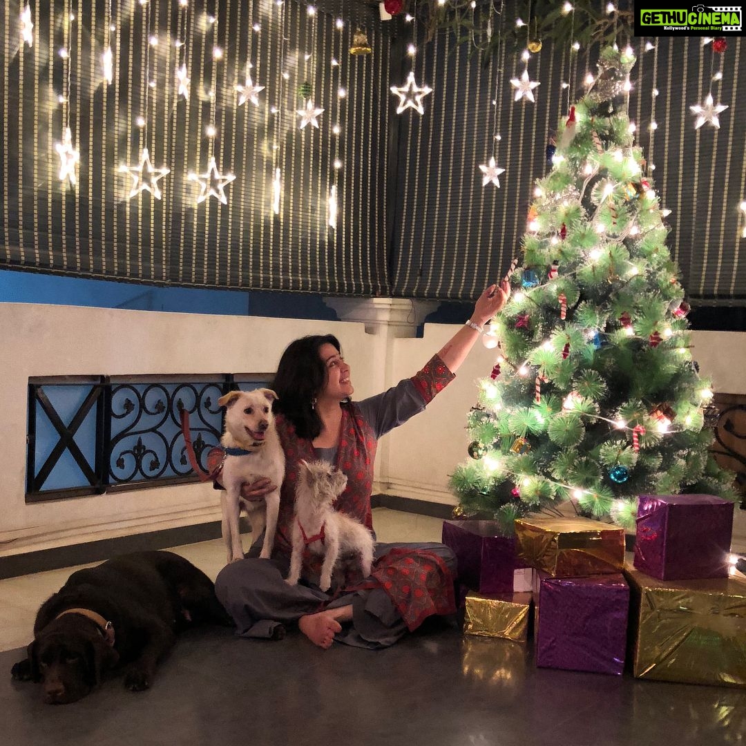 Charmy Kaur Instagram - #merrychristmas ❤️💃🏼 from @puriconnects team n ITEM ,DARLING,PABLO n MITHU too 😁😁