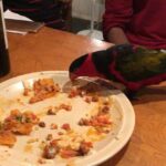 Charmy Kaur Instagram - Look who ate all the nachos that I had made 😂😂🙈🙈🙈 my baby Mithu 😂😂😂 #nachos #foodie #bird #pet #Mithu ❤️❤️ Hyderabad