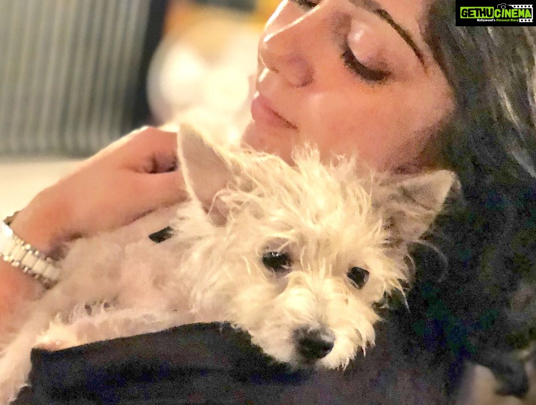 Charmy Kaur Instagram - My baby 😘 #Item 😍 Hyderabad