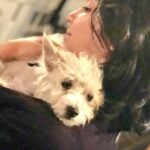 Charmy Kaur Instagram - ‪My baby 😘 #Item 😍‬ Hyderabad