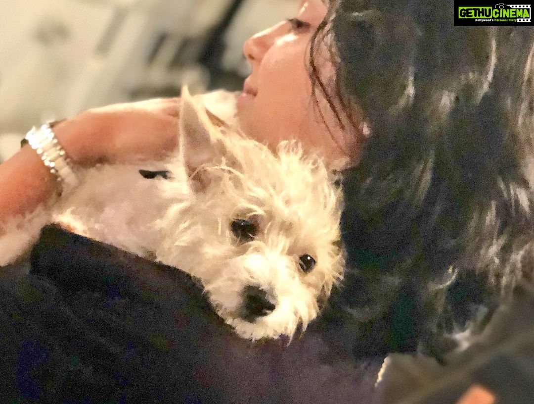 Charmy Kaur Instagram - My baby 😘 #Item 😍 Hyderabad