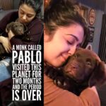 Charmy Kaur Instagram - RIP #PABLO #caraccident #lostmybaby #cantstopcrying