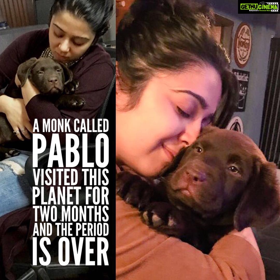 Charmy Kaur Instagram - RIP #PABLO #caraccident #lostmybaby #cantstopcrying