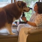 Charmy Kaur Instagram - I need to urgently take him to Bangkok 😂😂😂😂😂 #mystressbuster 😘