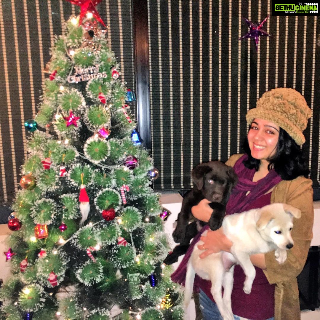 Charmy Kaur Instagram - #merrychristmas ❤️ from #Charmme #pablo n #darling 😘😘😘