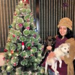 Charmy Kaur Instagram - #merrychristmas ❤️ from #Charmme #pablo n #darling 😘😘😘